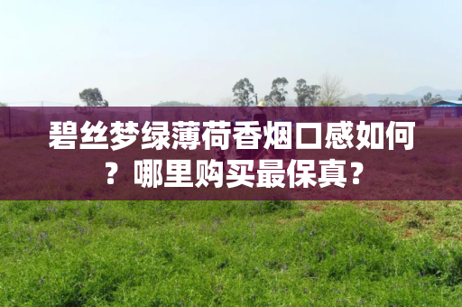 碧丝梦绿薄荷香烟口感如何？哪里购买最保真？